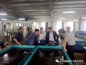 日韓專家訪問江蘇省淡水水產(chǎn)研究所揚中基地，共促水產(chǎn)技術(shù)交流與合作
